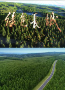 天下3新手指南：入门必看技巧与建议